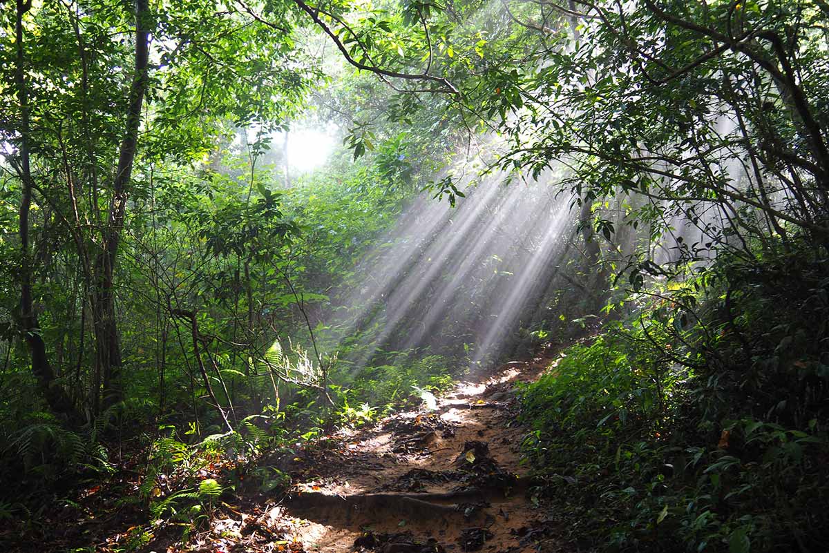 Dalat Vietnam Jungle Trekking Package from Saigon 6 Days